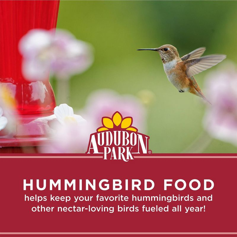 Audubon Park 9oz Hummingbird Bird Food