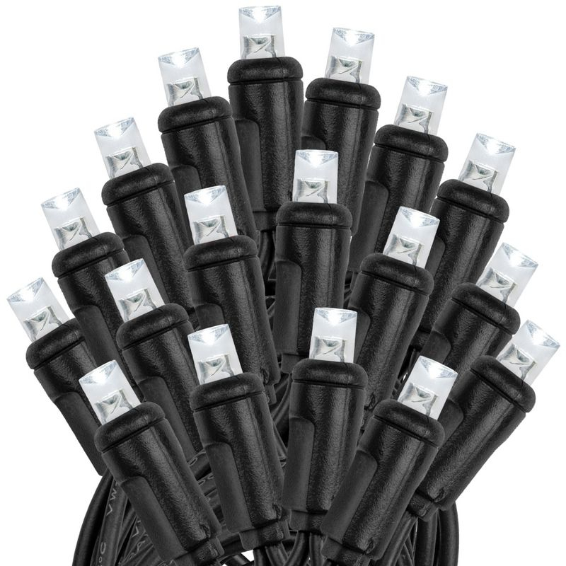 Novelty Lights 50 Light Pure White LED Christmas Mini Light Set (Black Wire, 11 Feet)
