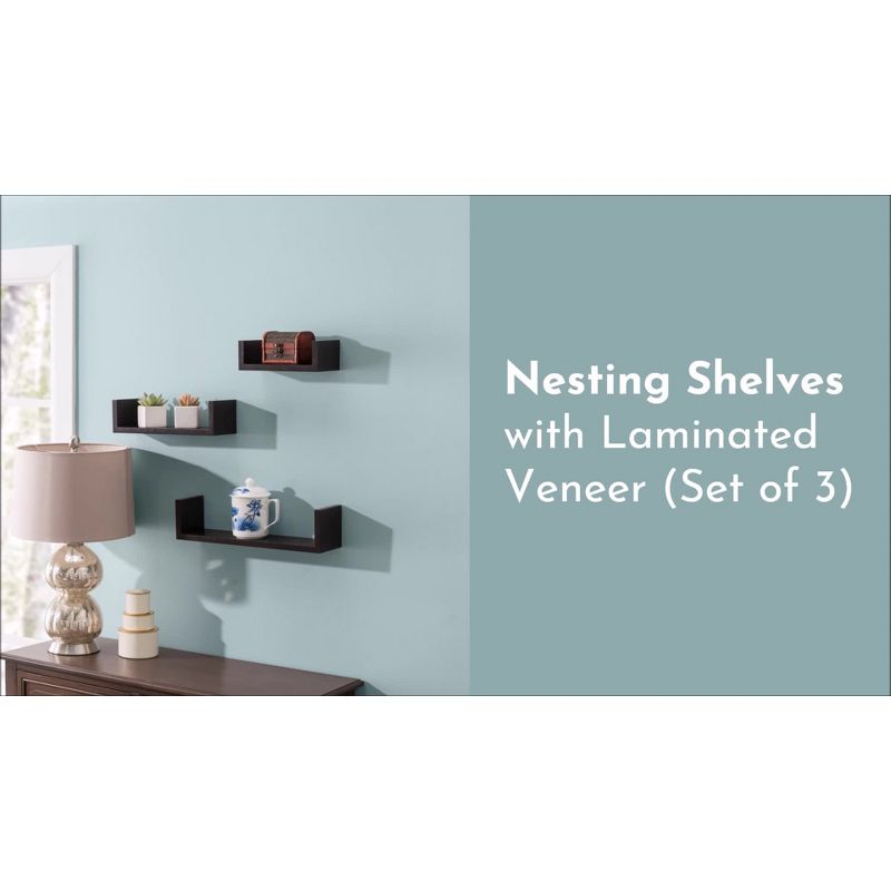 3pc Wall Shelving Set Black - Danya B.: Contemporary Floating Display & Storage