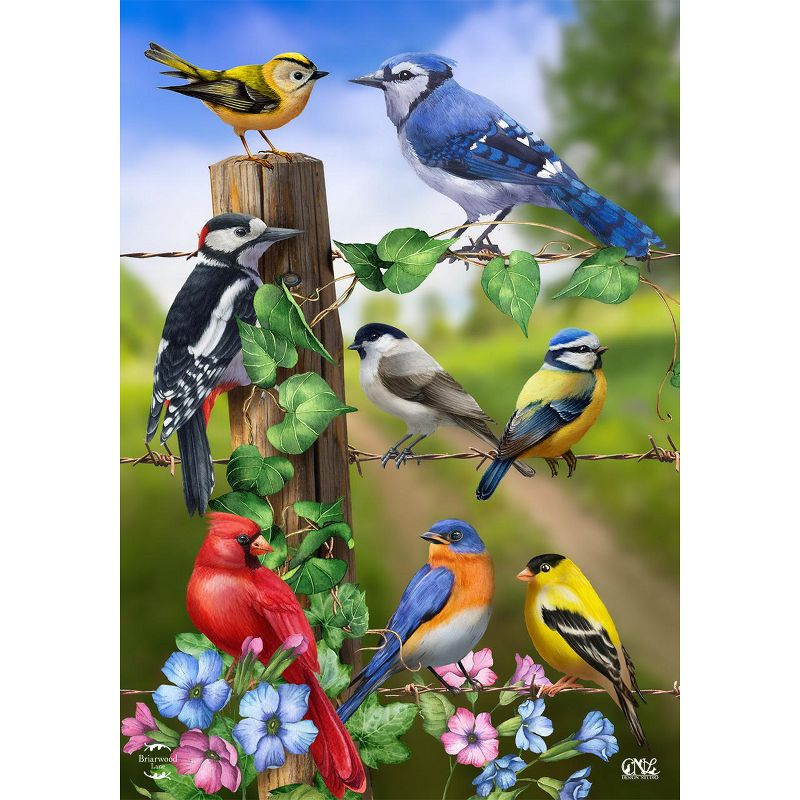 Country Birds Spring House Flag Goldfinches Blue Jay 28" x 40" Briarwood Lane