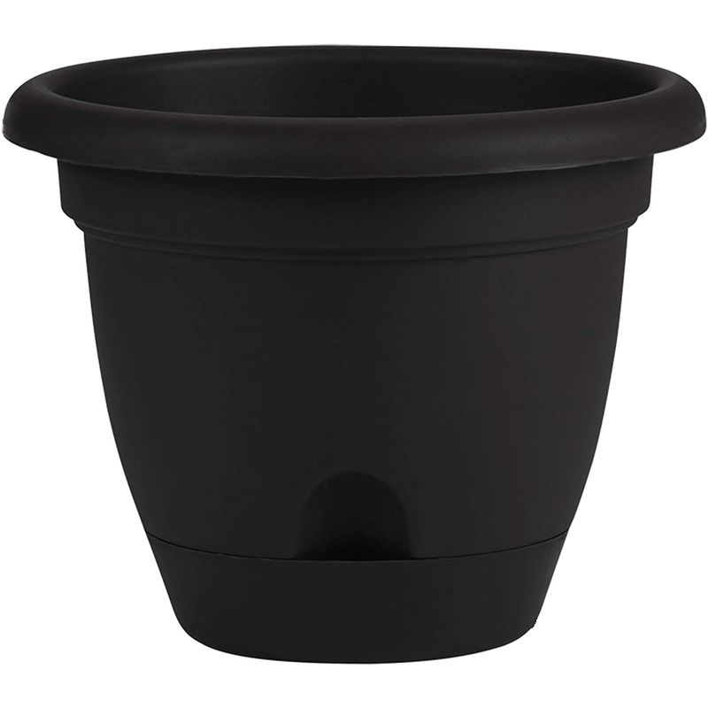 Bloem Lucca 8.8 in. H X 11 in. D Resin Planter Black