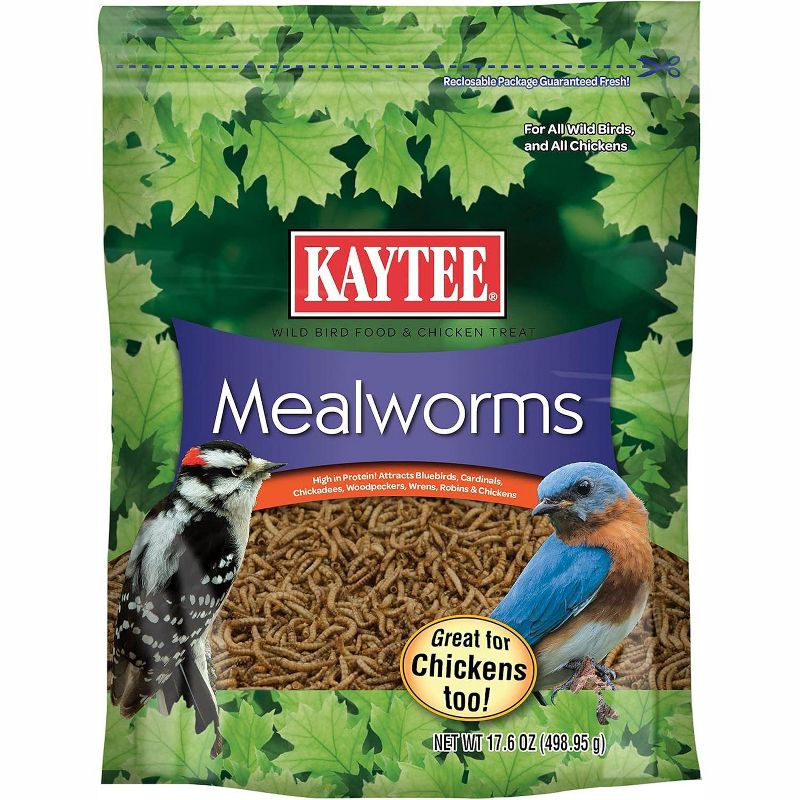 Kaytee Mealworms Bird Food - 17.6 Oz