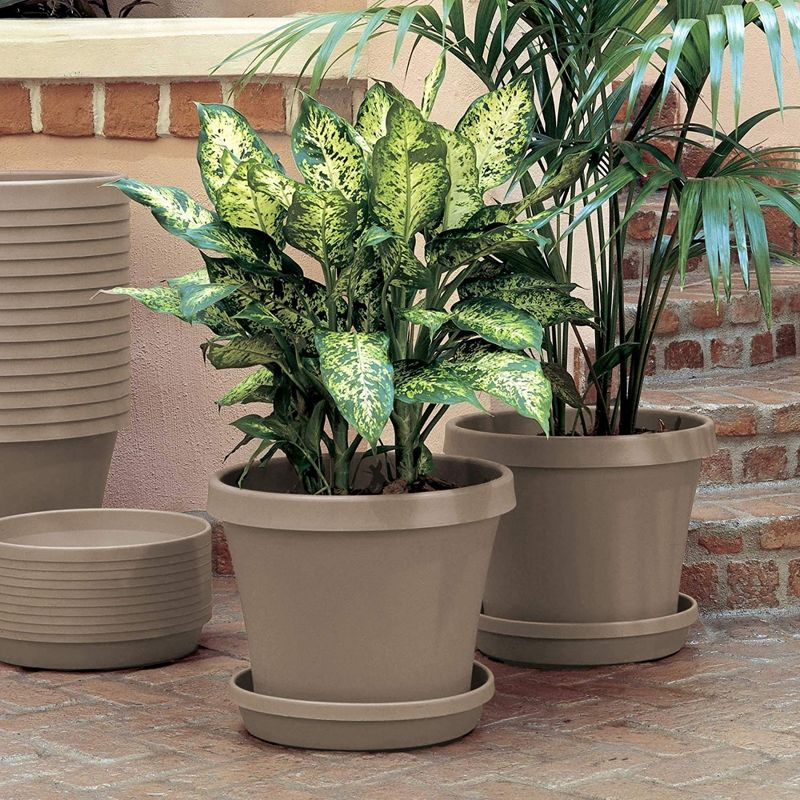 Bloem Terra Plastic Pot Planter, Pebble Stone, 10in