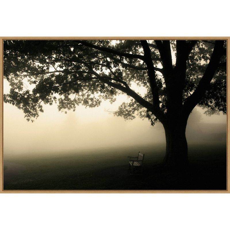 Amanti Art 33" x 23" Shenandoah by Andy Magee Framed Canvas Wall Art Print : Landscape, Framed Tree Art