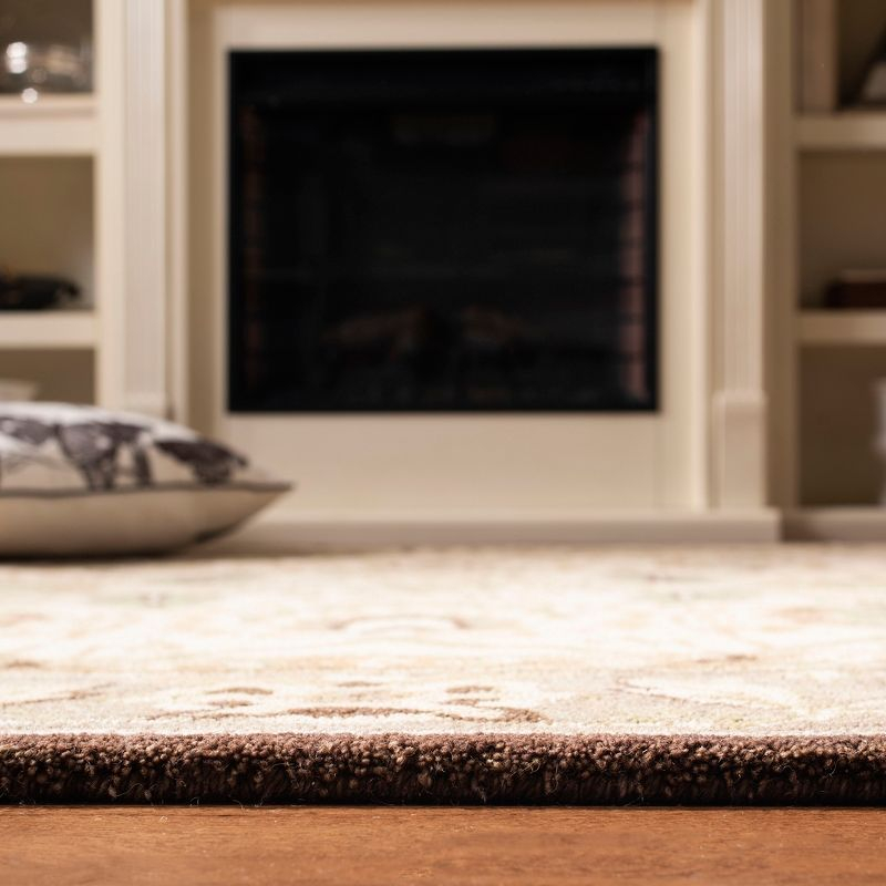 Anatolia AN512 Hand Tufted Indoor Area Rug - Ivory/Brown - 4'x6' - Safavieh