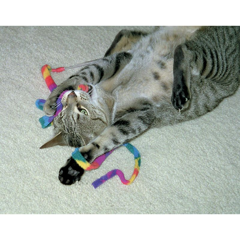 Cat Dancer Cat Charmer Interactive Cat Toy, Tie-Dye, 3 Pack
