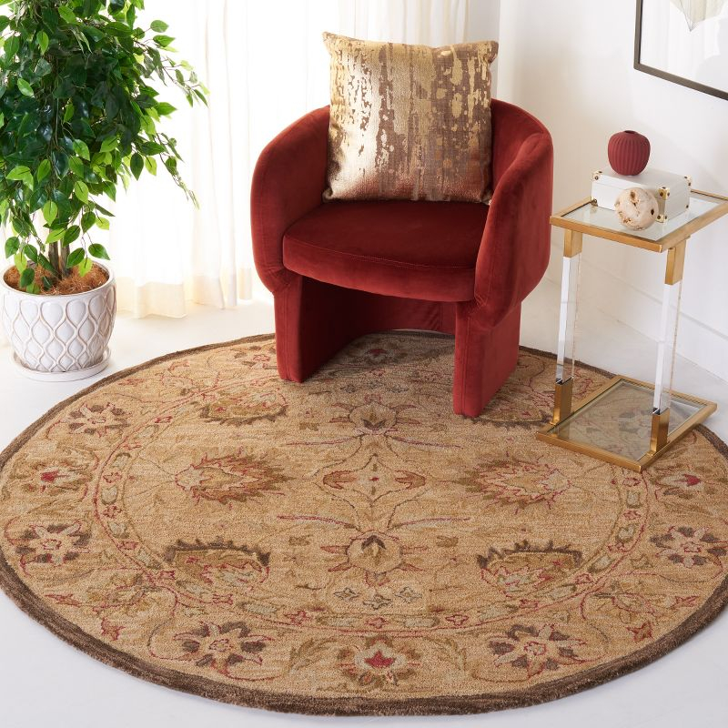Anatolia AN512 Hand Tufted Indoor Area Rug - Beige/Beige - 4' Round - Safavieh