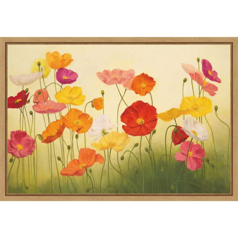 Amanti Art Sunlit Poppies by Janelle Kroner Canvas Wall Art Print Framed 23 x 16-in.