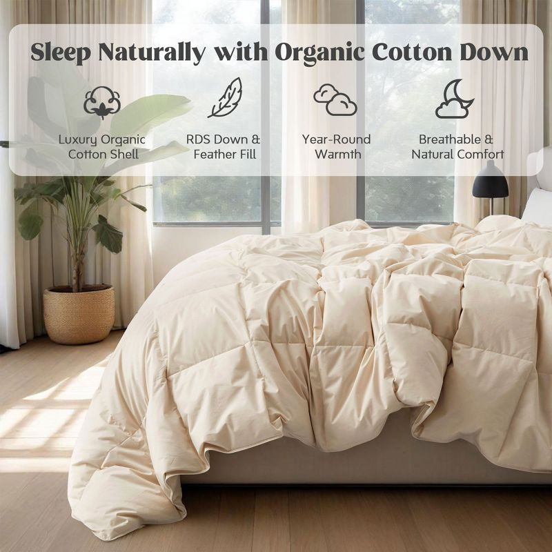 Puredown All Season Organic Cotton Down Comforter - 100% Natural, Chemical-Free, Medium Warmth Duvet Insert, Off-white, Full/Queen