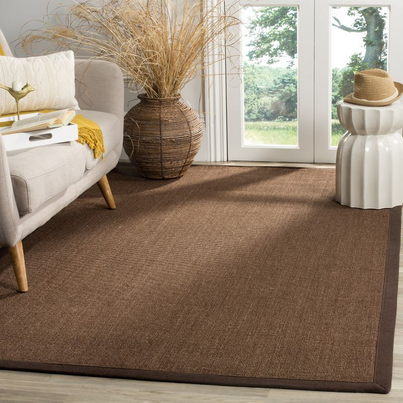 Natural Fiber NF131 Power Loomed Indoor Area Rug - Brown/Brown - 4'x6' - Safavieh
