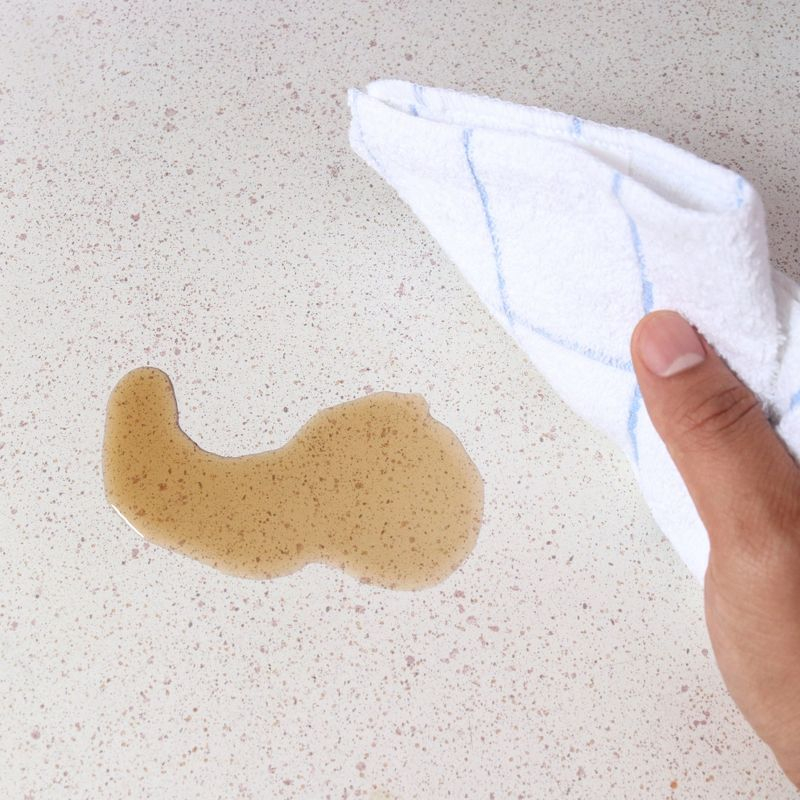 Arkwright Home Kitchen Dishcloths (12 Pack) - Cotton, 12x12 in. - Blue