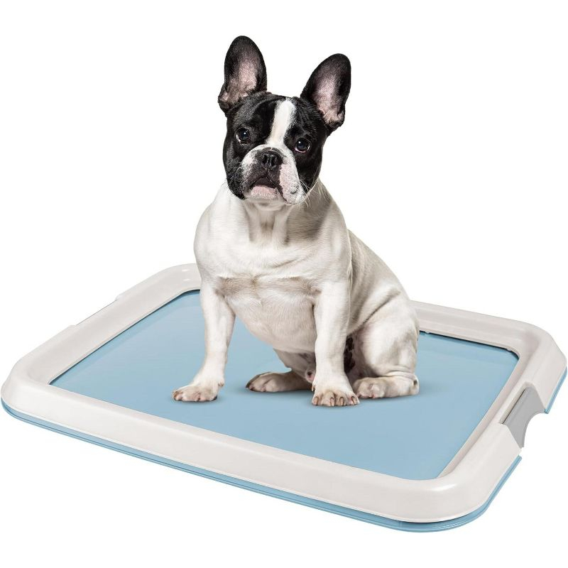 IRIS USA, Inc. Polypropylene Plastic Pet Bed