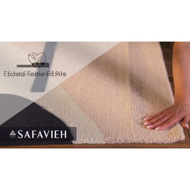 Rodeo Drive RD883 Hand Tufted Area Rug - Grey/Black - 4'x6' - Safavieh.