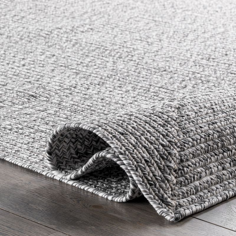 nuLOOM Wynn Braided Indoor/Outdoor Area Rug, 2' x 3', Salt and Pepper
