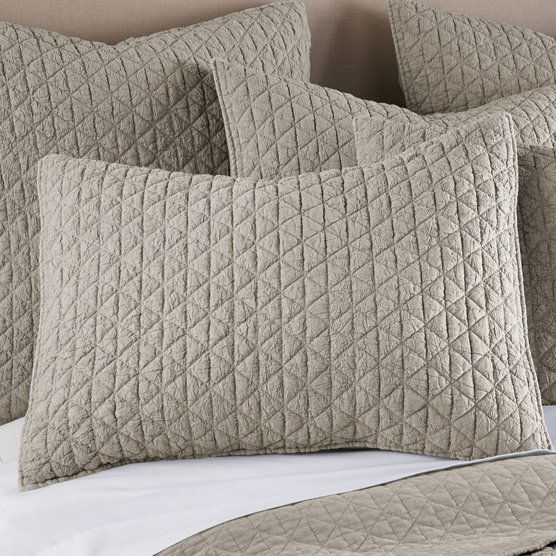Rowan Tan Twin Quilt Set- HomThreads by Levtex Home