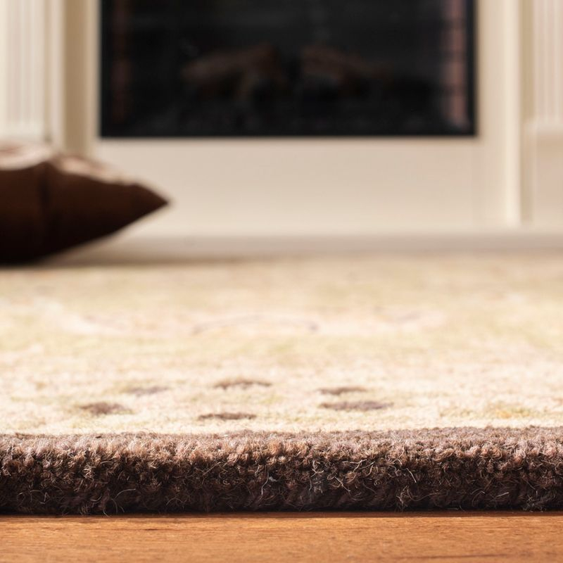 Anatolia AN512 Hand Tufted Indoor Accent Rug - Sage/Beige - 2'x3' - Safavieh