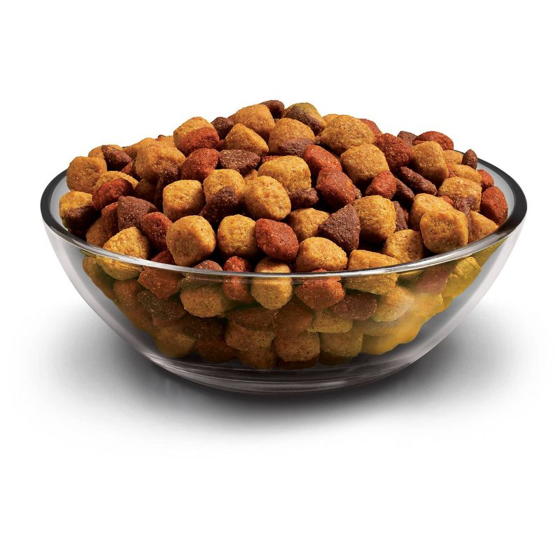 Purina Dog Chow with Real Chicken Adult Complete & Balanced Dry Dog Food - 4.4lbs