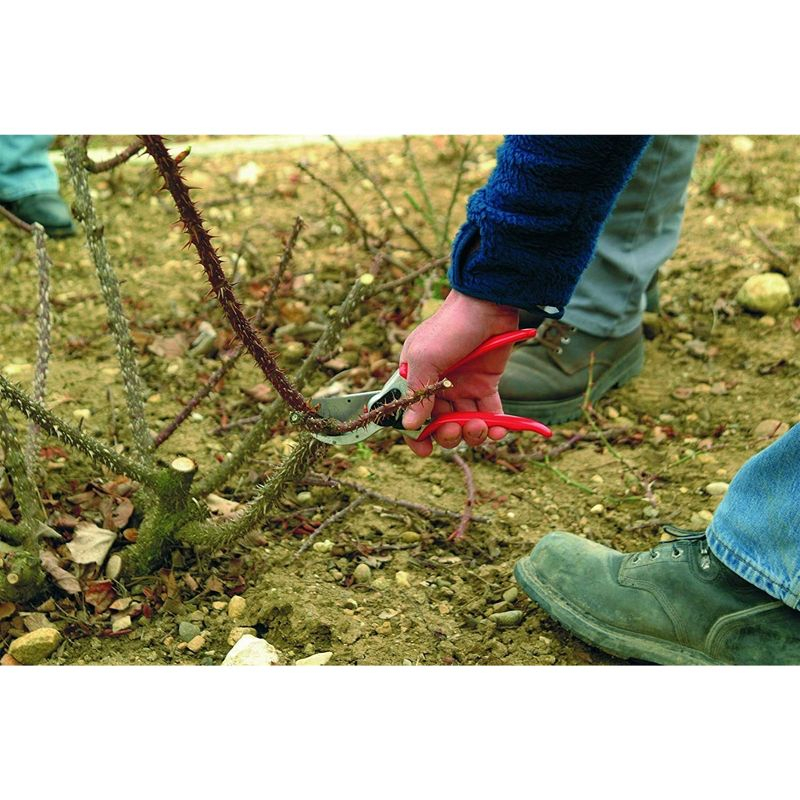 Felco F2 Standard Right Handed Pruning Shears, 8.5"