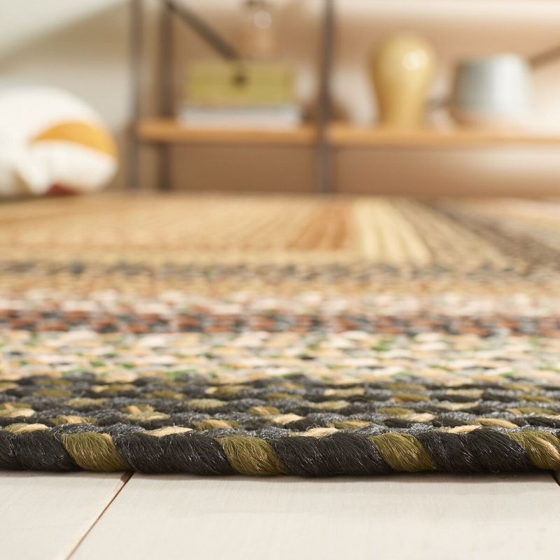 Braided BRD308 Hand Woven Area Rug - Multi - 6'x9' - Safavieh.