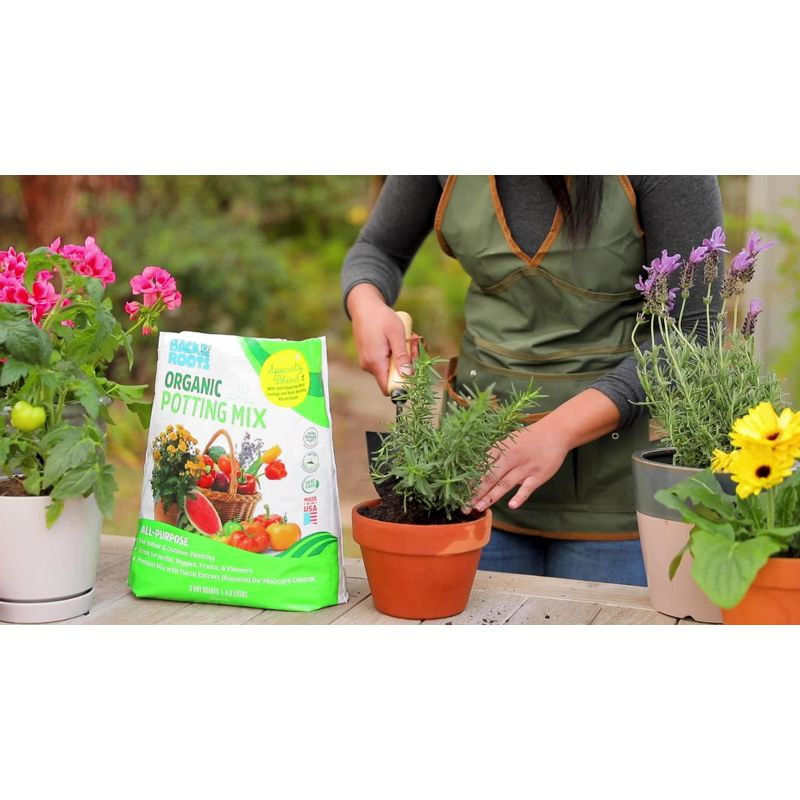 Back to the Roots 10pk Organic Beginners Garden Seeds