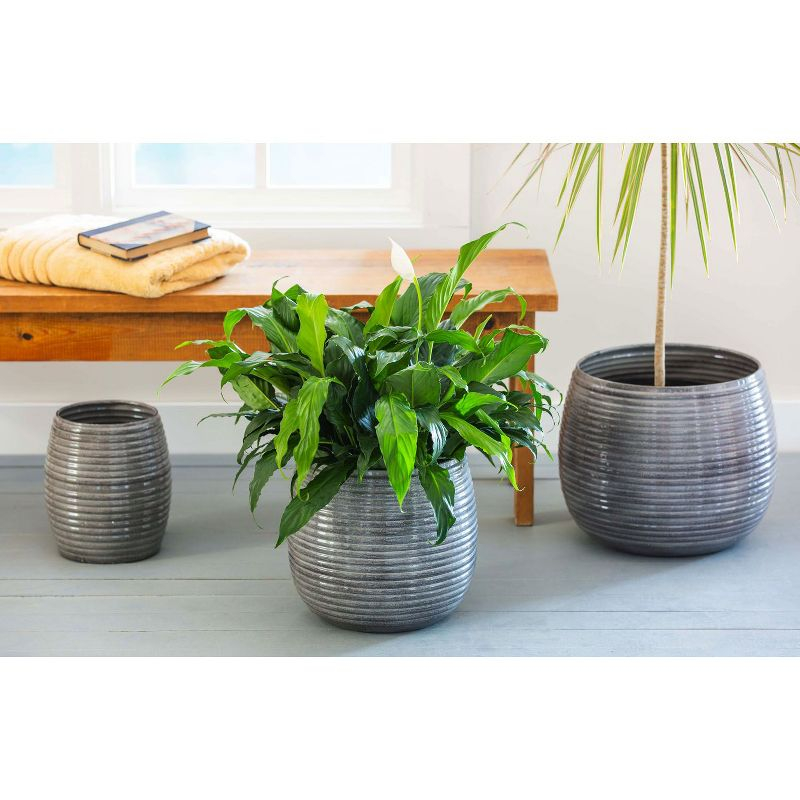 Evergreen Metal Ribbed Planter, Set of 3