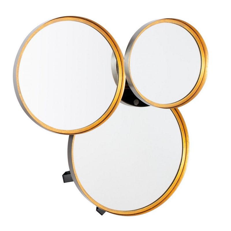 Loni Mirror - Gold Foil/Black - Safavieh