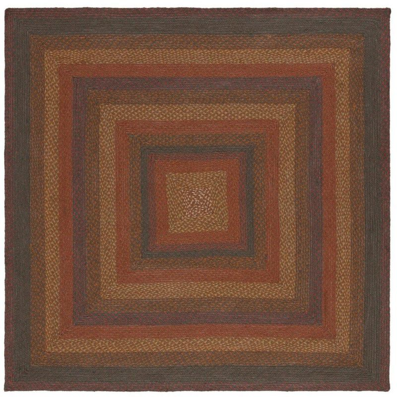 Braided BRD652 Flat Weave Indoor Area Rug - Green/Rust - 6'x6' - Safavieh