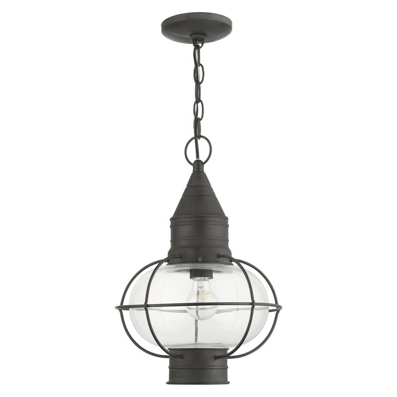 Livex Lighting Newburyport 1 - Light Pendant in  Charcoal