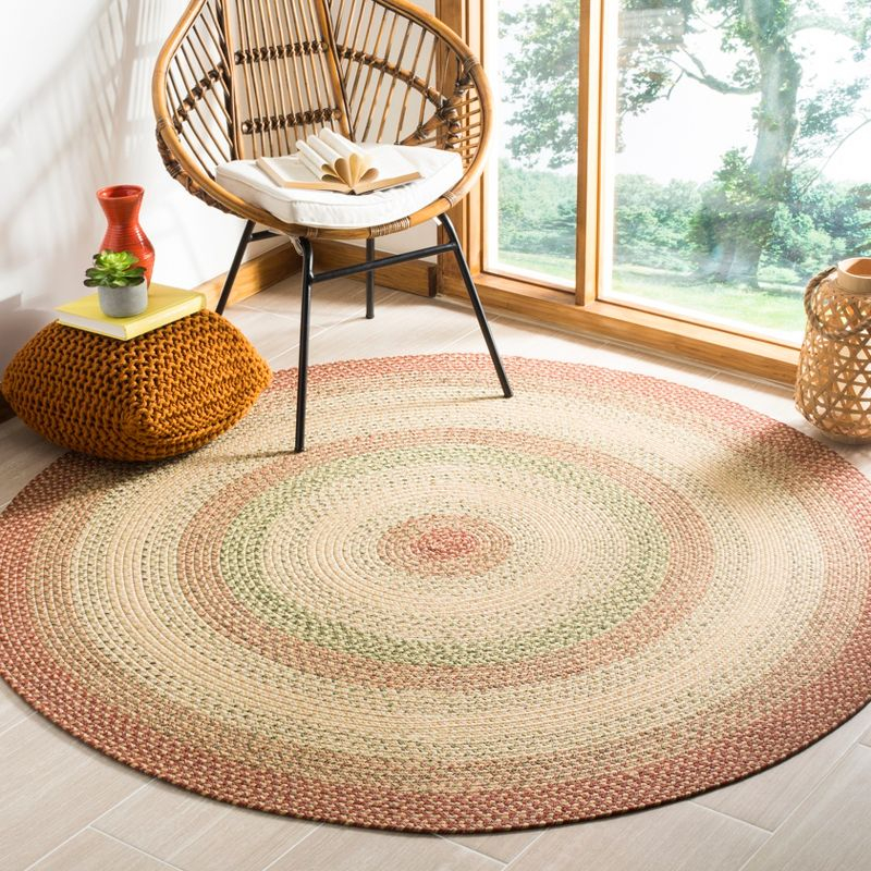 Braided BRD303 Hand Woven Area Rug - Rust/Multi - 5' round - Safavieh.
