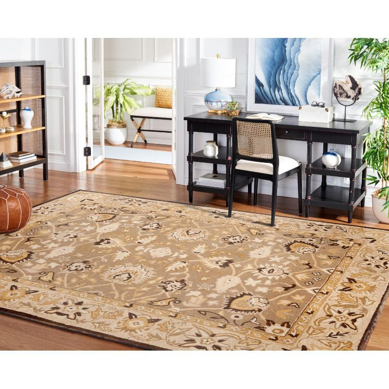 Anatolia AN512 Hand Tufted Indoor Area Rug - Sage/Beige - 9'x12' - Safavieh