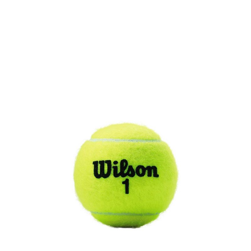 Wilson Championship Tennis Balls - 3 Ball Pack: Rubber Fill, Nylon Shell