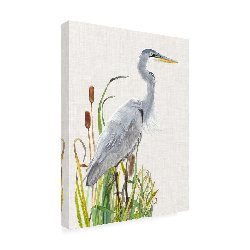 Trademark Fine Art -Naomi Mccavitt 'Water Birds And Cattails I' Canvas Art