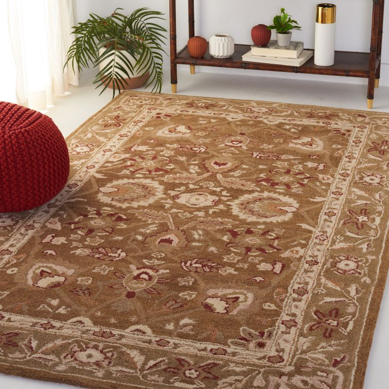 Anatolia AN512 Hand Tufted Indoor Accent Rug - Brown/Green - 3'x5' - Safavieh