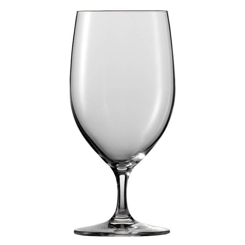 Forte Tritan 15 oz. Glass Goblet (Set of 6)