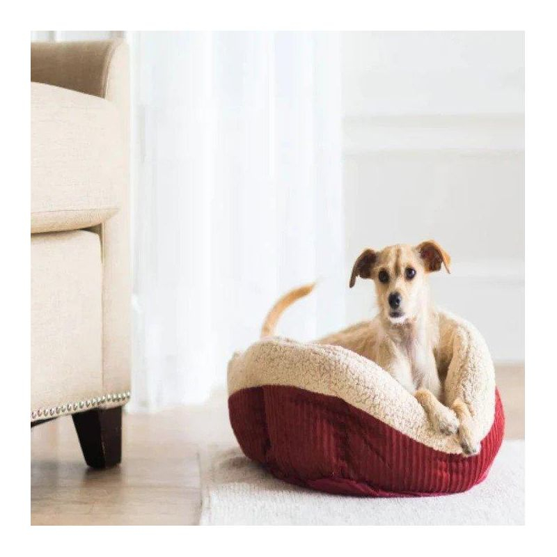 Tucker Murphy Pet™ Cheemeng Twin Platform Bed