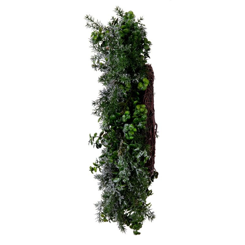 Vickerman 26" Artificial Green Snow Cedar and Eucalyptus Christmas Wreath, Unlit