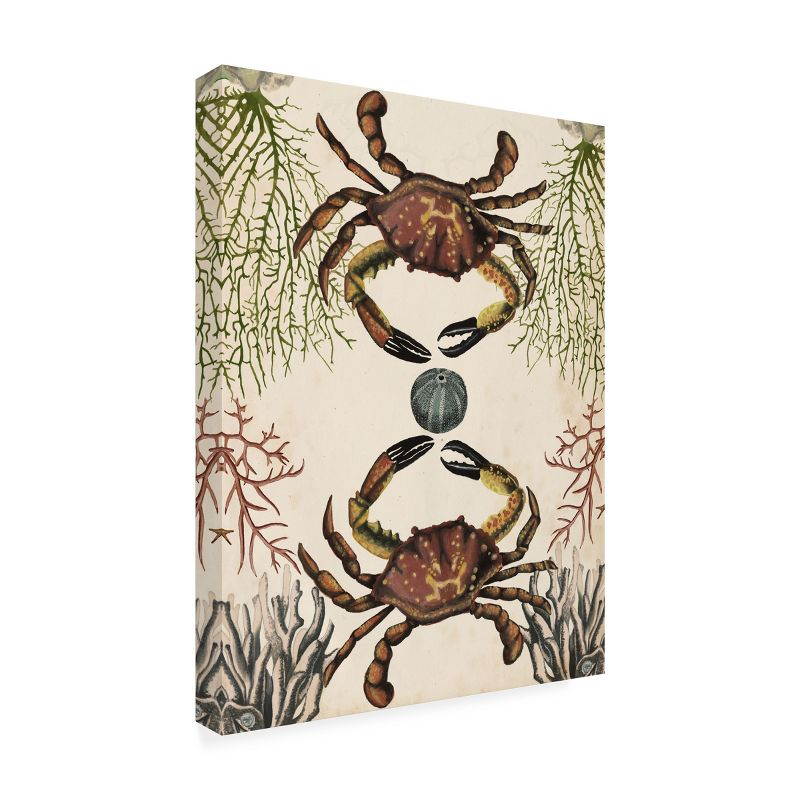 Trademark Fine Art - Naomi Mccavitt 'Antiquarian Menagerie Crab' Outdoor Canvas - 24x32