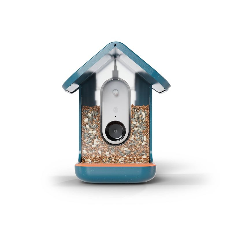 Bird Buddy Smart Bird Feeder with Camera and Solar Roof: Weather-Resistant, Hanging or Pole Mount