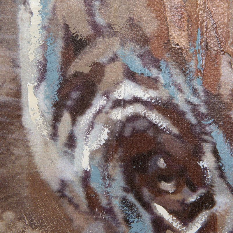 Yosemite Home Decor ARTAFE2376 Face of A King Multi