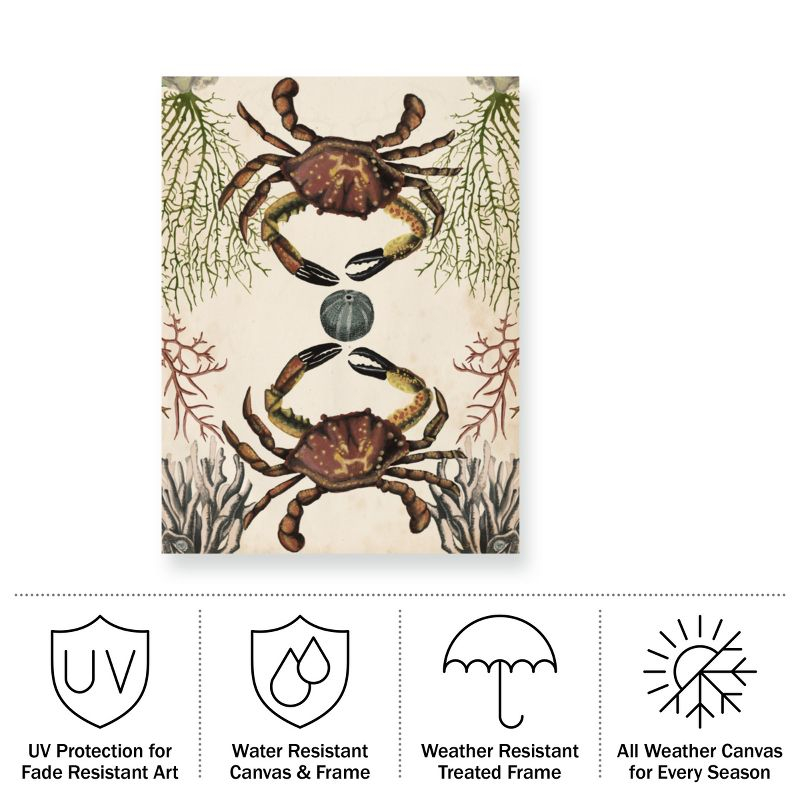 Trademark Fine Art - Naomi Mccavitt 'Antiquarian Menagerie Crab' Outdoor Canvas - 24x32