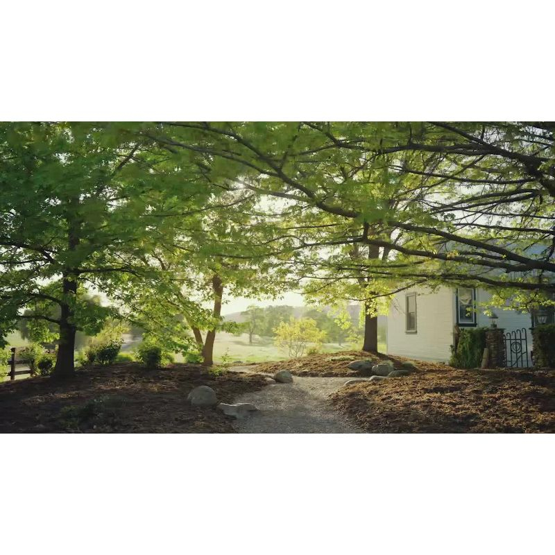 27" Oxford Grill Griddle Waterproof Carrying Bag CB2701 - Royal Gourmet: Weather-Resistant, Zip Closure, Handle