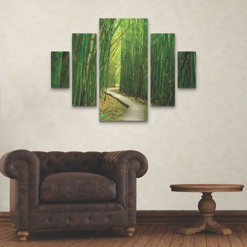 Trademark Fine Art Dennis Frates Bamboo Path 5 Piece Panel Set Art - 34''x44''