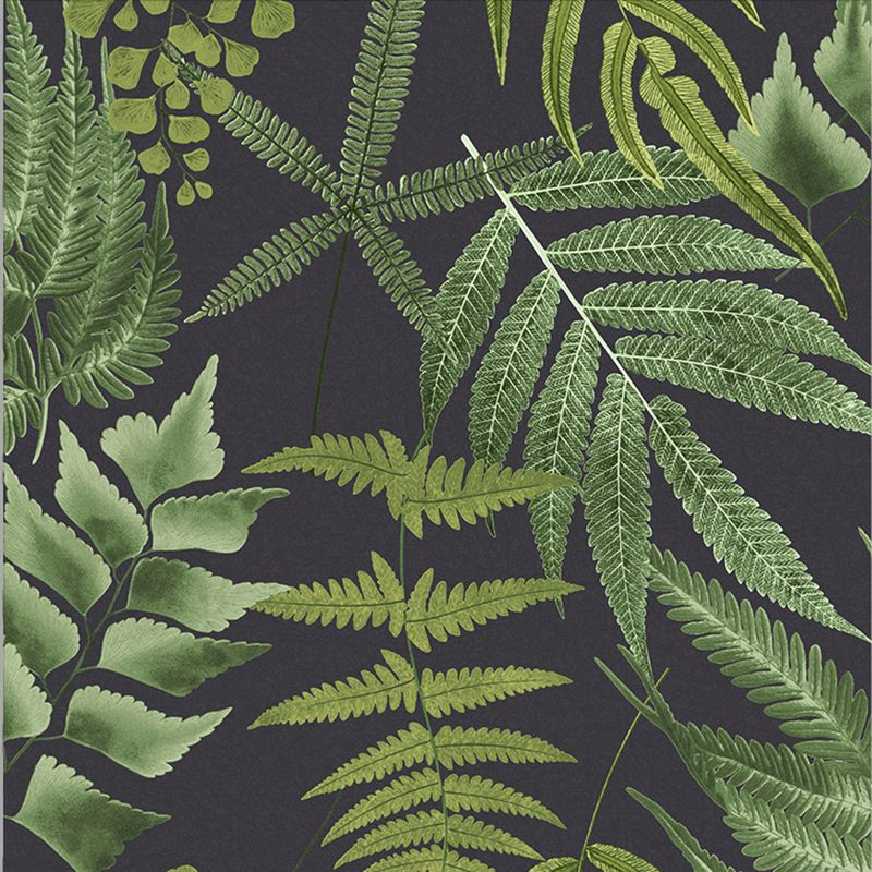 Midsummer Fern Black and Green Tropical Leaves Paste the Wall Wallpaper