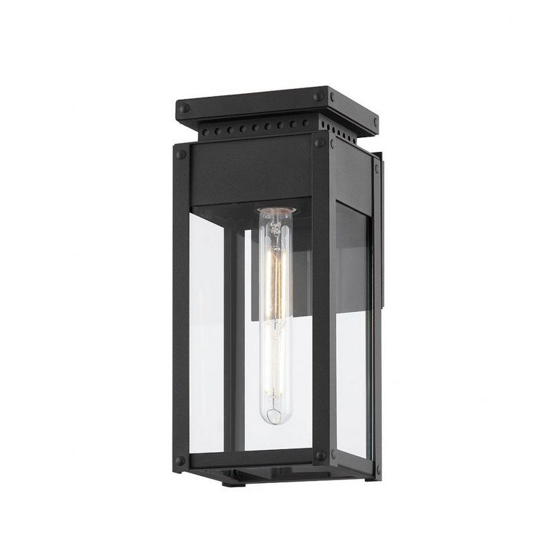 Troy Lighting Braydan 1 - Light Wall Light in  Textured Black Clear Shade