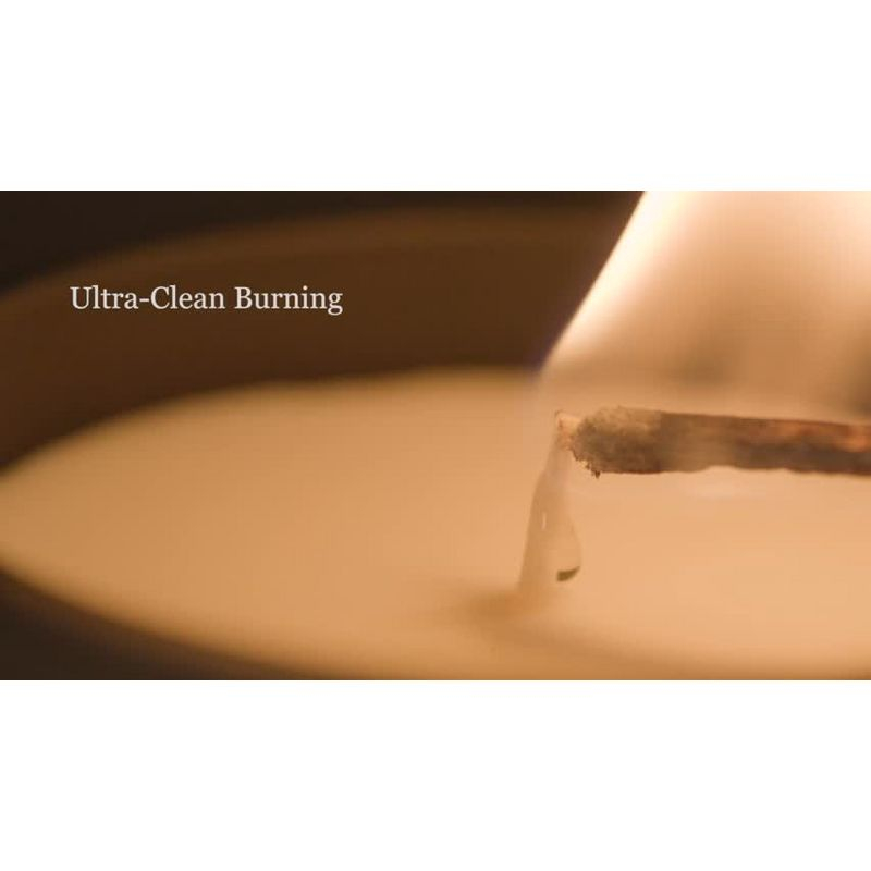 Benevolence LA Premium All Natural Soy 3 Wick Candles In Matte Black Glass Jar - Fig Tree Scent (14.5 oz)