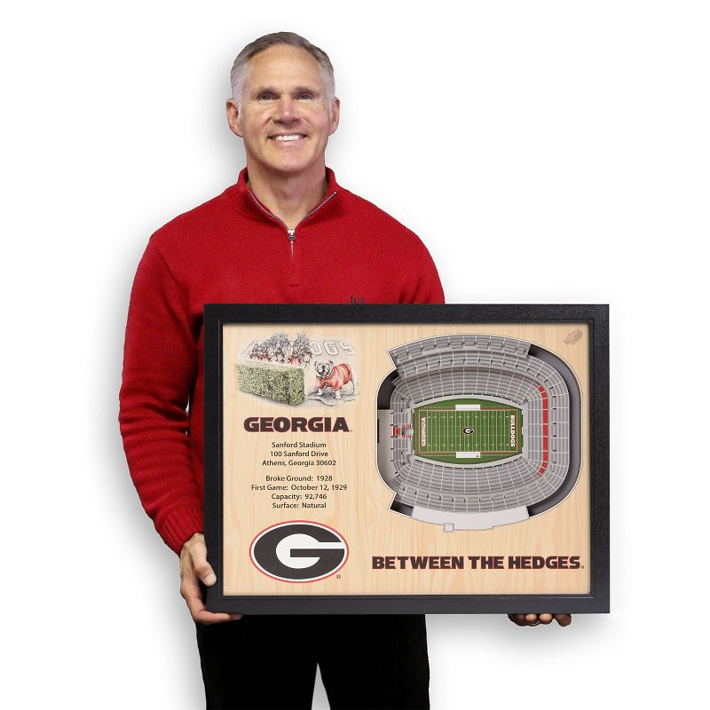 NCAA Georgia Bulldogs 25-Layer StadiumViews 3D Wall Art