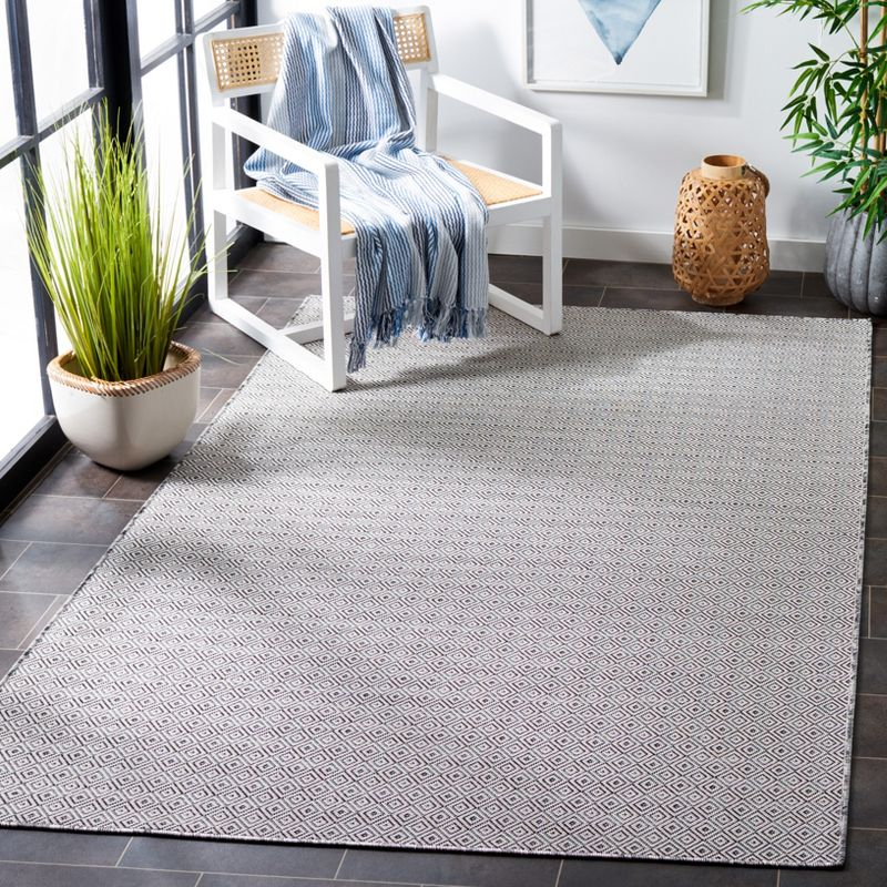 Hampton HTN230 Power Loomed Indoor/Outdoor Area Rug - Ivory/Black - 8'x10' - Safavieh.
