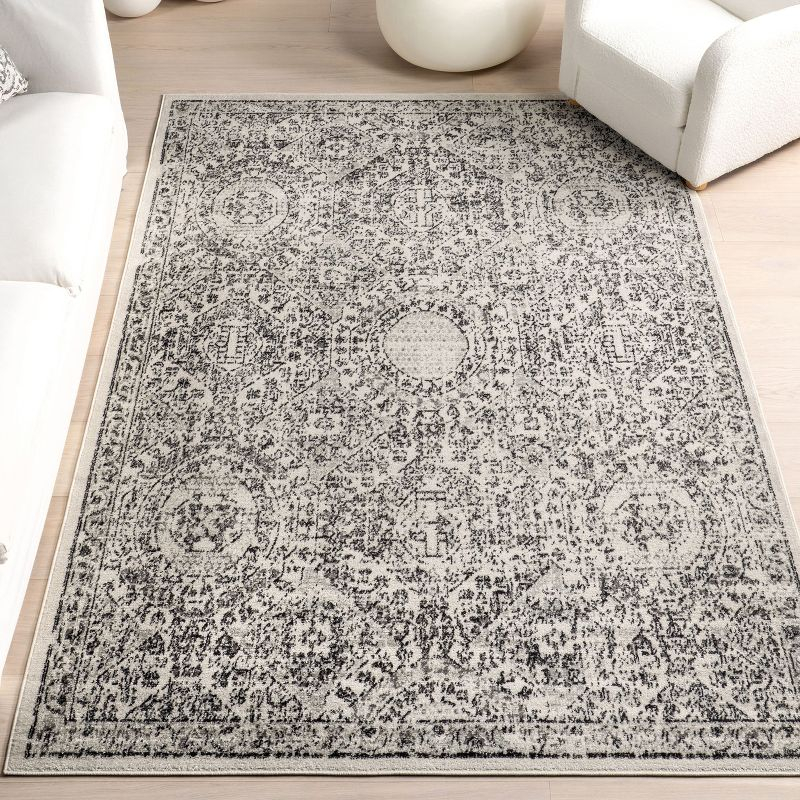 Nuloom Minta Medallion 6 Square Indoor Area Rug for Living Room Bedroom Dining Room Kitchen, Grey/Ivory