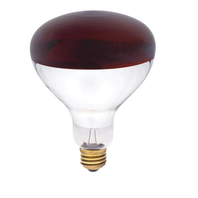 Westinghouse 250 W R40 Reflector/Heat Lamp Incandescent Bulb E26 (Medium) Red 1 pk