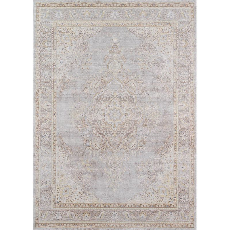 Momeni 5'3"x7'3" Isabella Freya Area Rug Gray